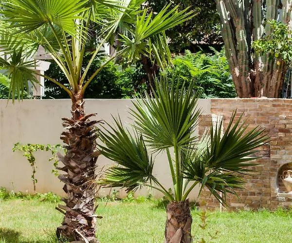 מלון Canvas 1 חאניה